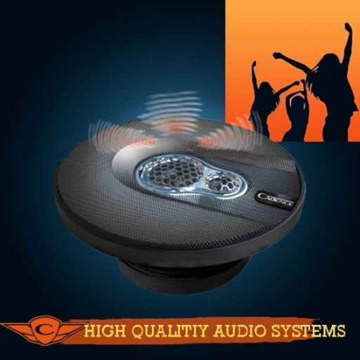 Speaker